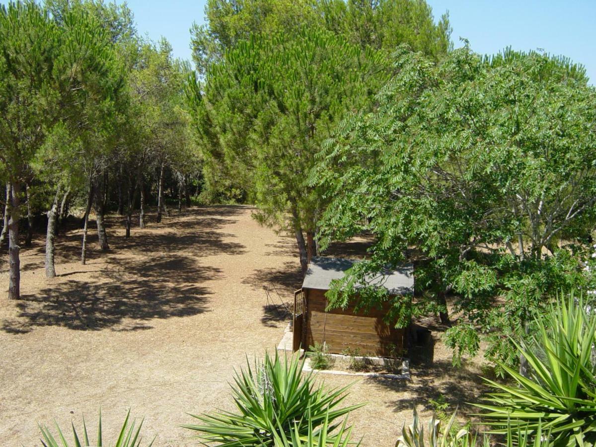 ميسانيي Tenuta Argiano المظهر الخارجي الصورة