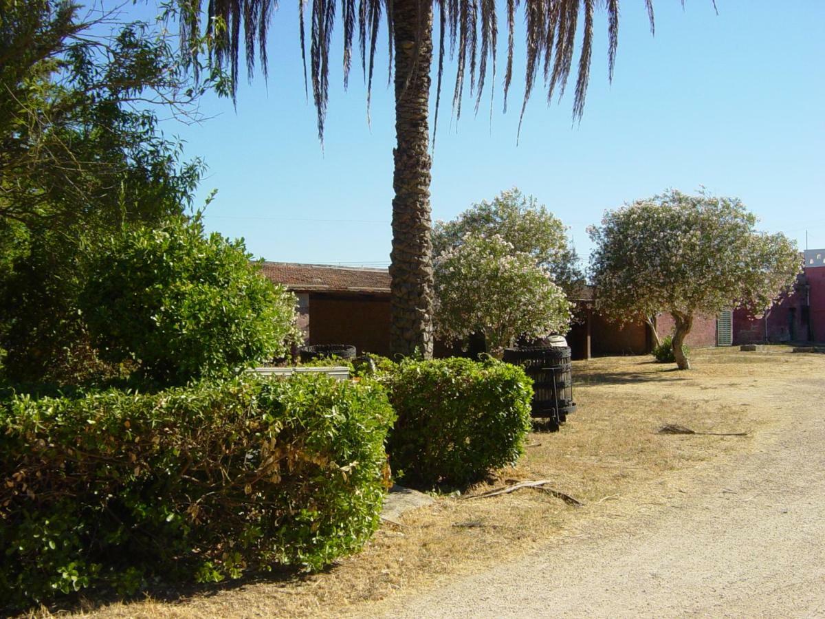 ميسانيي Tenuta Argiano المظهر الخارجي الصورة