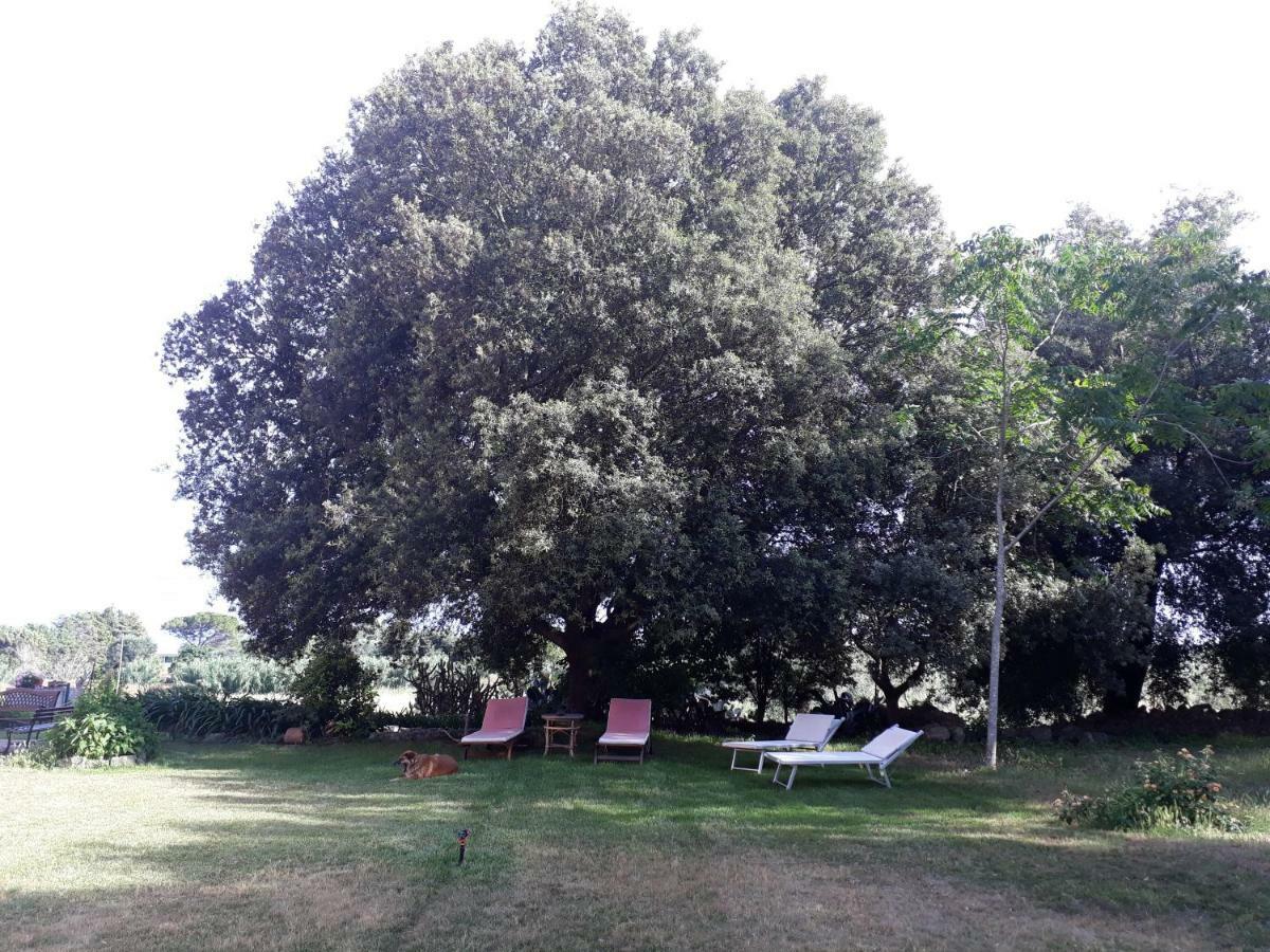 ميسانيي Tenuta Argiano المظهر الخارجي الصورة
