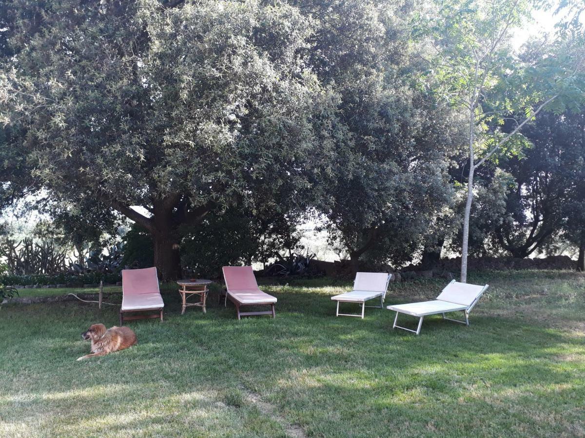 ميسانيي Tenuta Argiano المظهر الخارجي الصورة